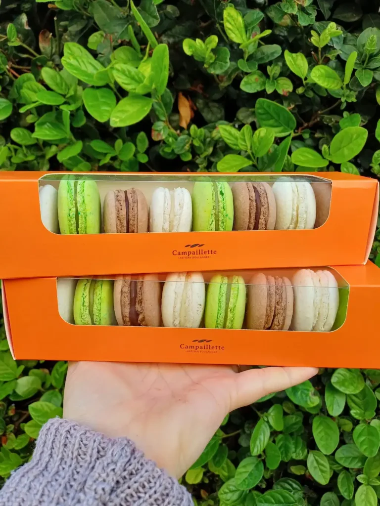Boites de macarons sur fond arborer